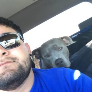 Meet your Posher, Domingo